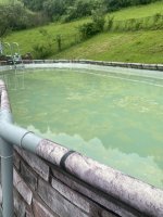 IMG_4836.jpeg IMG_4836.jpeg