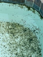 thumbnail_IMG_9416.jpg thumbnail_IMG_9416.jpg