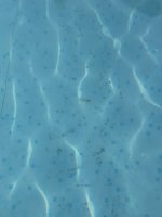 IMG_3993.jpeg