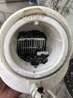 IMG_1729.jpeg