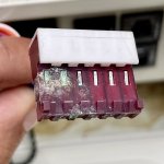 IMG_1447.jpeg