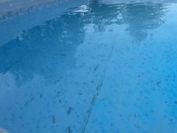 IMG_4021.jpeg