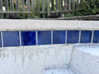 IMG_2526.jpeg