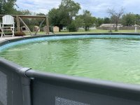 IMG_1048.jpeg