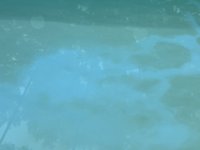 IMG_1419.jpeg