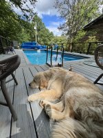 IMG_4769.jpeg