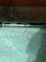 IMG_3984.jpeg
