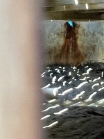 IMG_6208.jpeg IMG_6208.jpeg