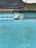 IMG_4352.jpeg