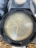 IMG_3346.jpeg