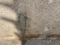 IMG_3914.jpeg