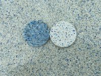 IMG_3036.jpeg