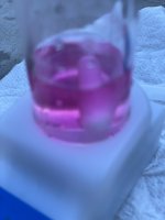 IMG_9433.jpeg