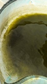 PXL_20230814_175504827.jpg