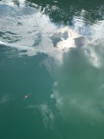 IMG_3804.jpeg