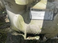 IMG_5631.jpeg