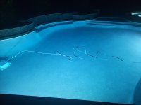 20230817_004124.jpg