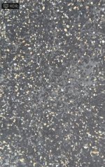 IMG_1525.jpeg