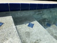 IMG_2636.jpeg