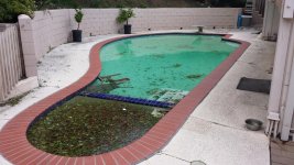 20160201.Pool after storm and wind.jpg