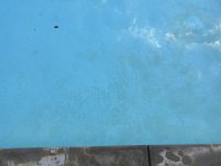 IMG_0828.jpeg IMG_0828.jpeg