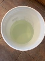 IMG_3342.jpeg
