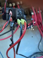 IMG_2599.jpeg