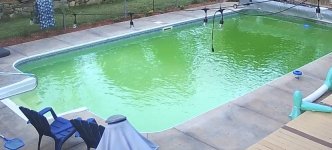 IMG_7542.jpeg