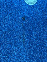 IMG_6628.jpeg