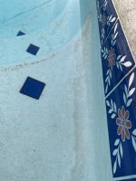 IMG_0758.jpeg