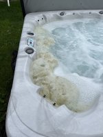 IMG_0133.jpeg
