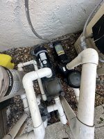 IMG_0934.jpeg