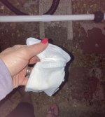 IMG_7584.jpeg