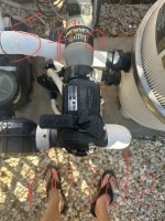 IMG_2275.jpeg