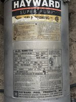 IMG_8141.jpeg