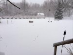 IMG_4249.jpg IMG_4249.jpg