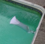 bag in pool.jpg