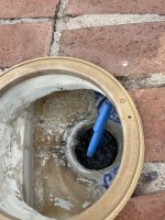 IMG_0272.jpeg IMG_0272.jpeg