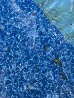 IMG_9552.jpeg