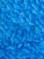 IMG_7640.jpeg