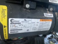 IMG_0251.jpeg