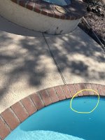 IMG_3731.jpeg