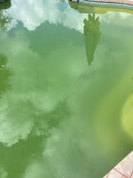 IMG_6287.jpg