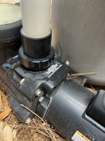 IMG_7753.jpeg