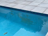 IMG_1894.jpeg