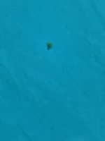 IMG_9677.jpeg