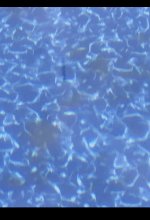 IMG_8404.jpeg