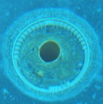 Drain-2.jpg