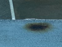 IMG_7359.jpeg