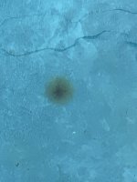 IMG_7358.jpeg